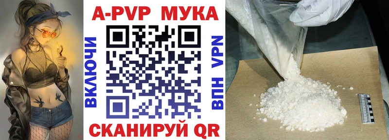 ссылка на мегу ссылки  Казань  Альфа ПВП СК КРИС 