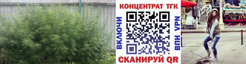 Дистиллят ТГК Wax  Казань 