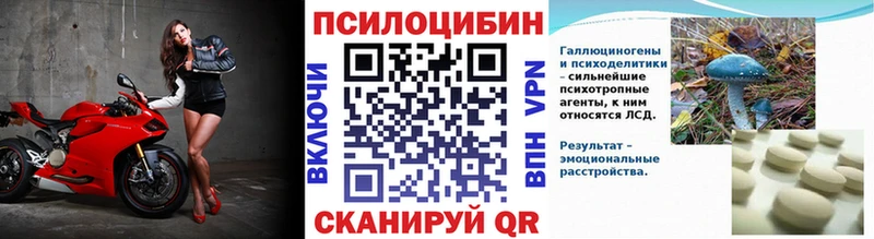 Псилоцибиновые грибы GOLDEN TEACHER  МЕГА онион  Казань  купить наркотик 
